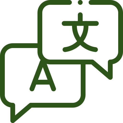 languages icon